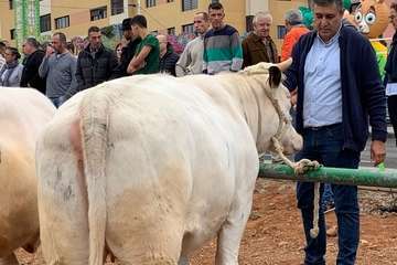 Los Llanos celebra el día grande de sus fiestas (Foto TA)